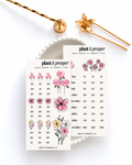 Plant & Prosper Duo