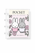 Pocket Full of Dreams